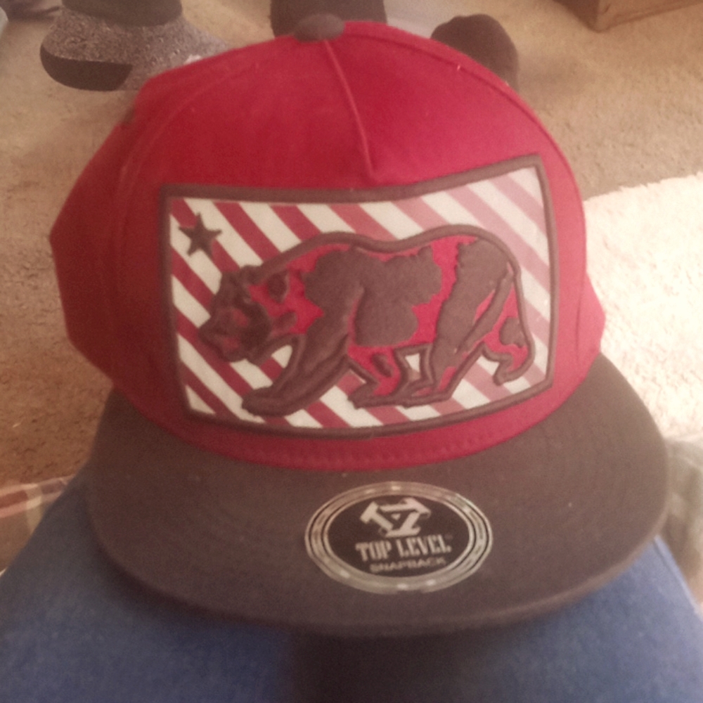 Burgundy California Bear Snapback Hat